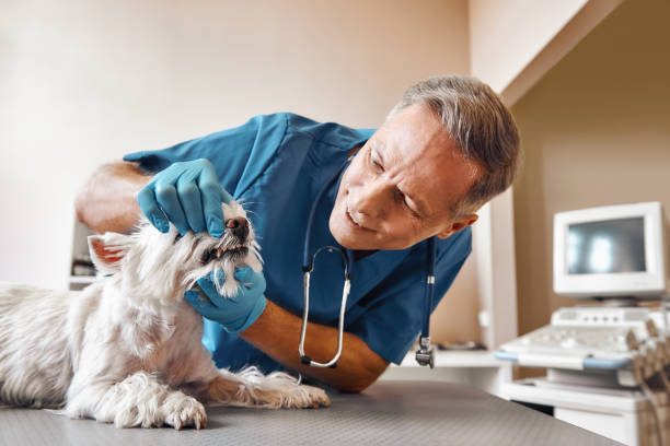 Best Urgent Care for Lost Fillings or Crowns in Murphy, TX